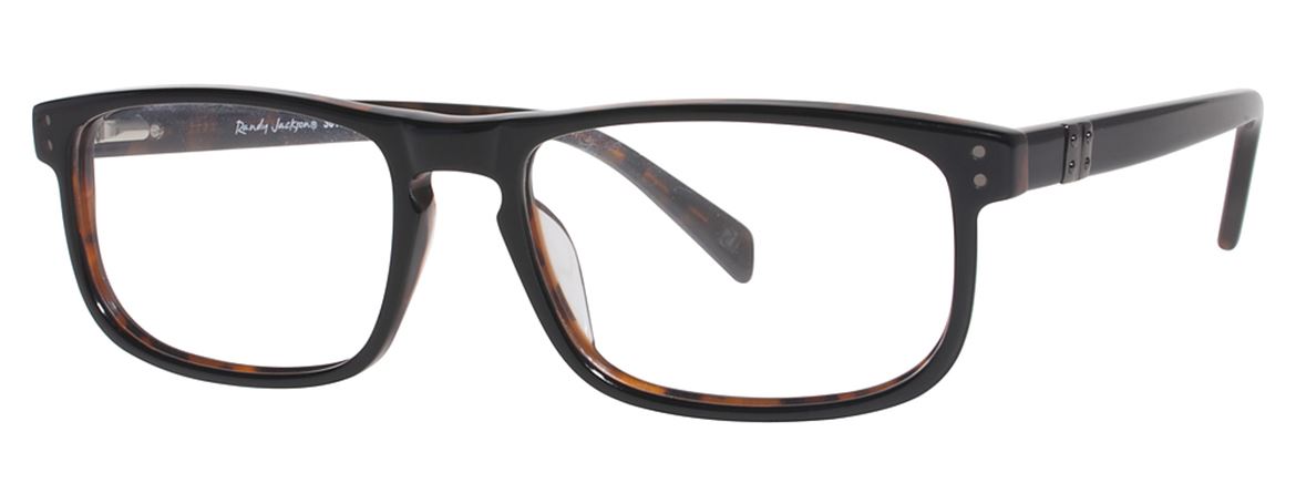Randy Jackson 3013