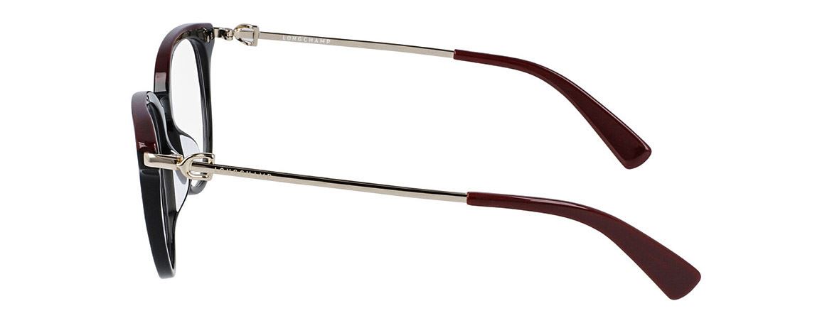 LONGCHAMP LO2667