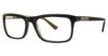 Randy Jackson 3038