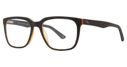 Picture of Randy Jackson 3055