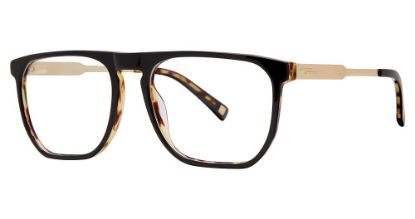 Picture of Randy Jackson 3061