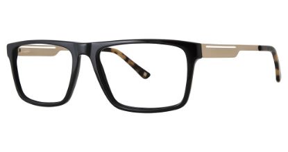 Picture of Randy Jackson 3065