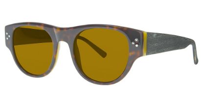 Picture of Randy Jackson Sun S928P