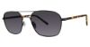 Randy Jackson Sun S929P