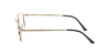 ONGUARD 071P