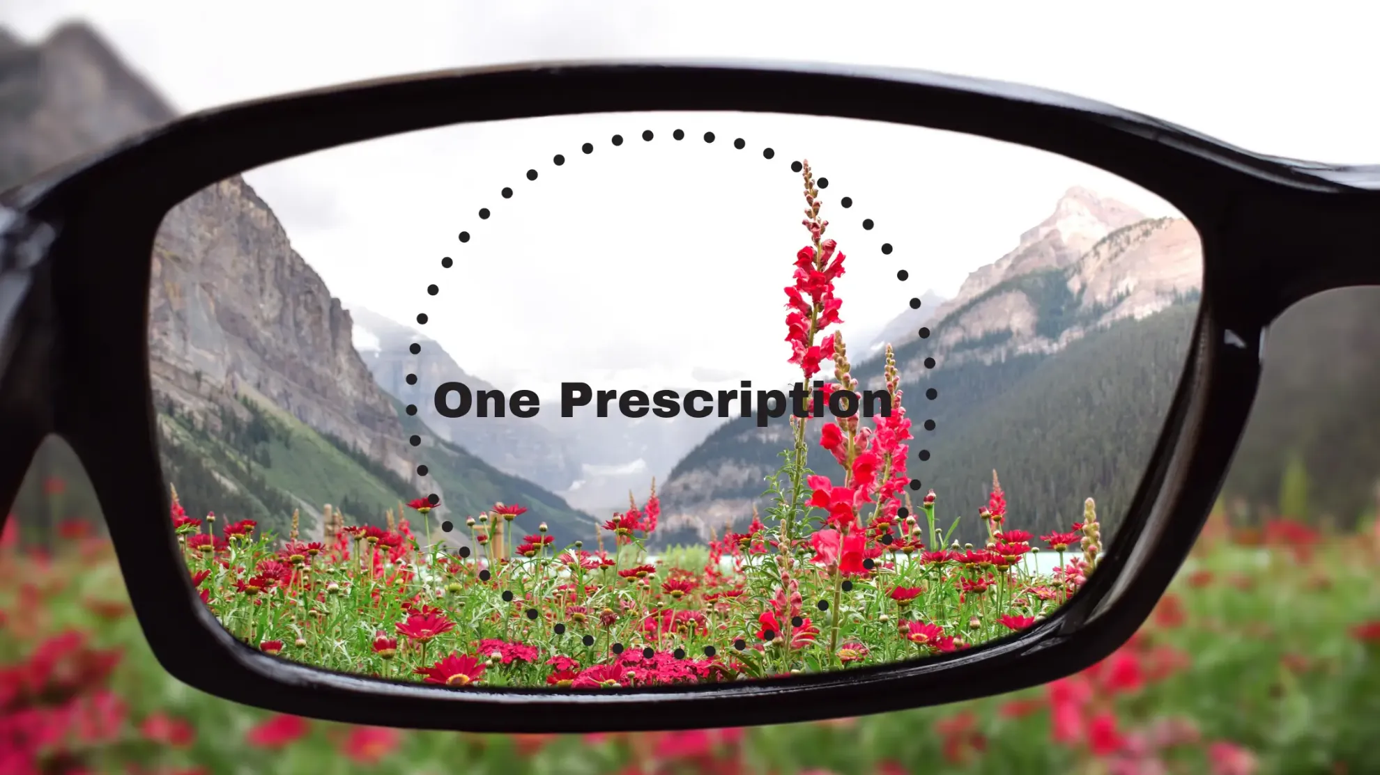 What Are Single Vision Lenses