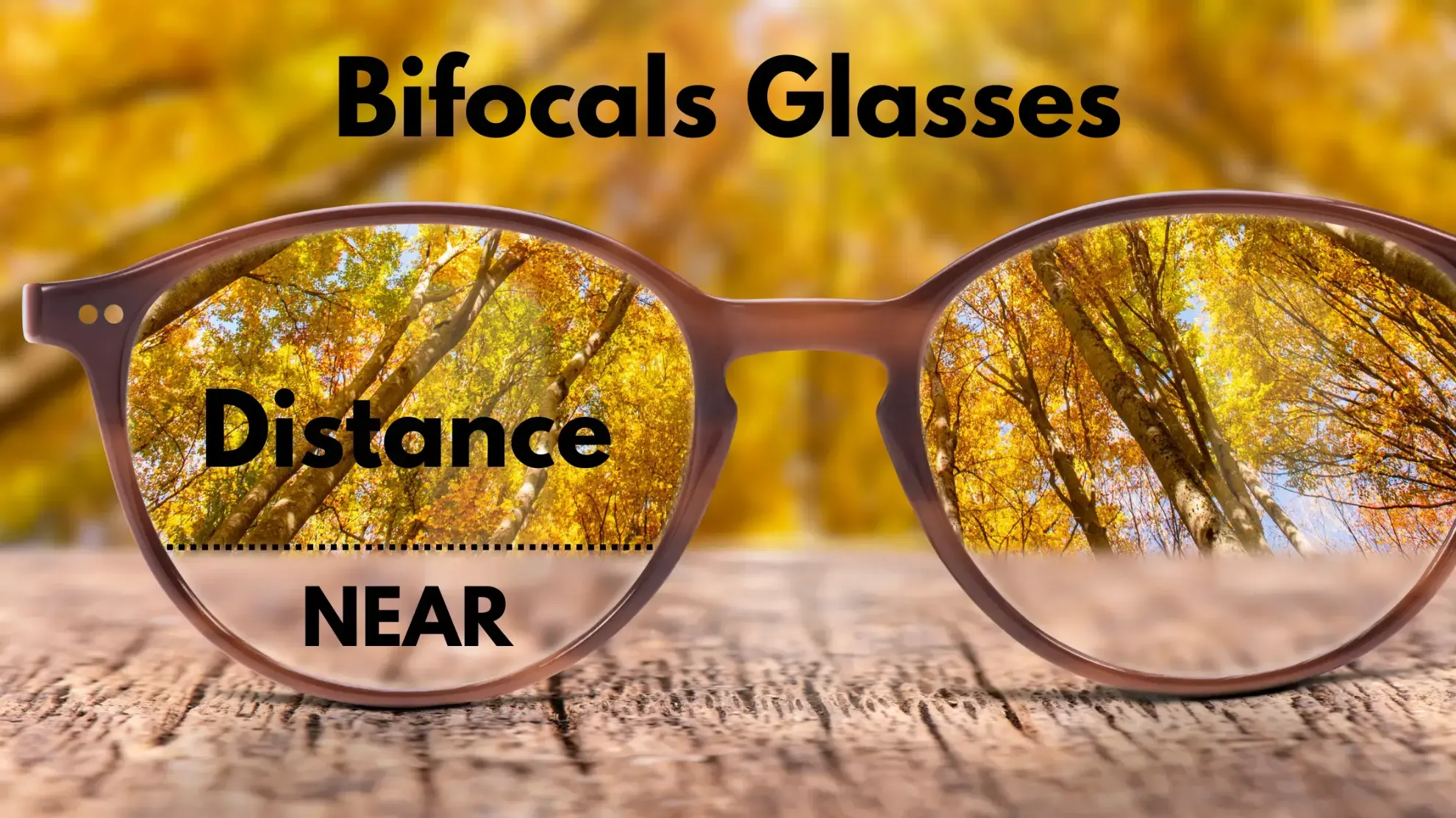 What are Bifocal Lenses?