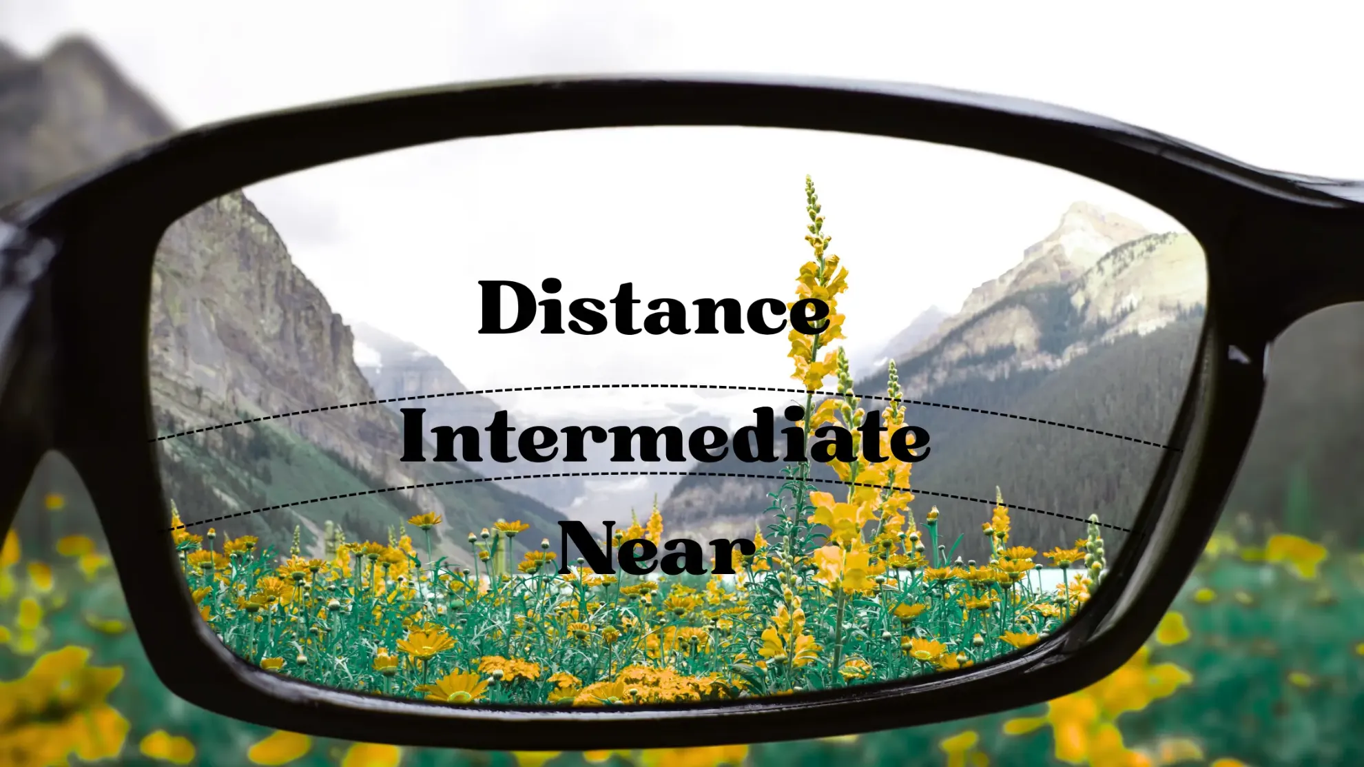 What Are Trifocal Lenses?