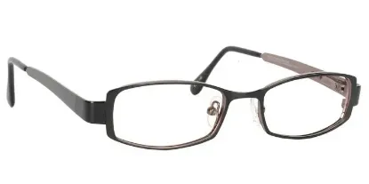 Picture of Hudson DG-95