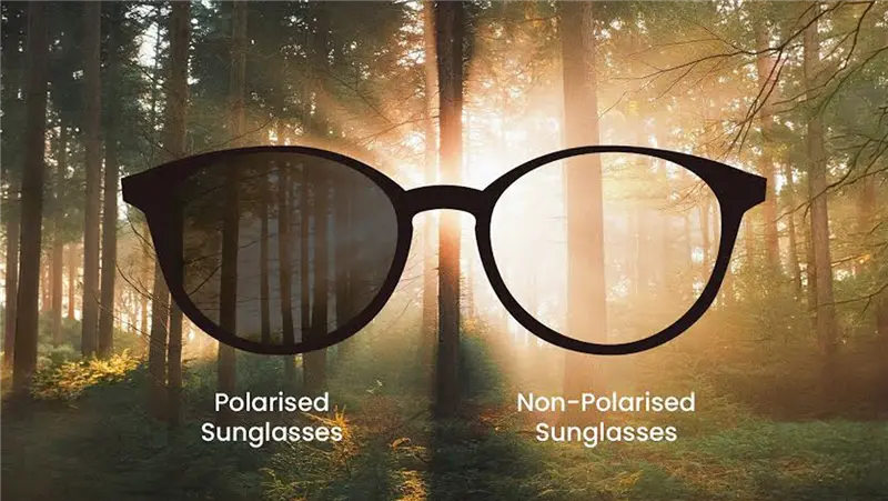 What Are Polarized Lenses? Benefits, Uses, Colors and Comparisons